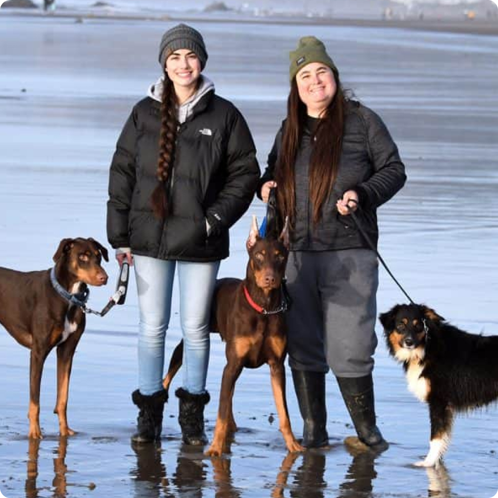 Dog boarding and training business